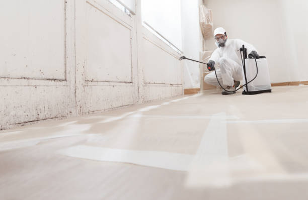 24/7 Emergency Mold Cleanup experts in Richboro, PA